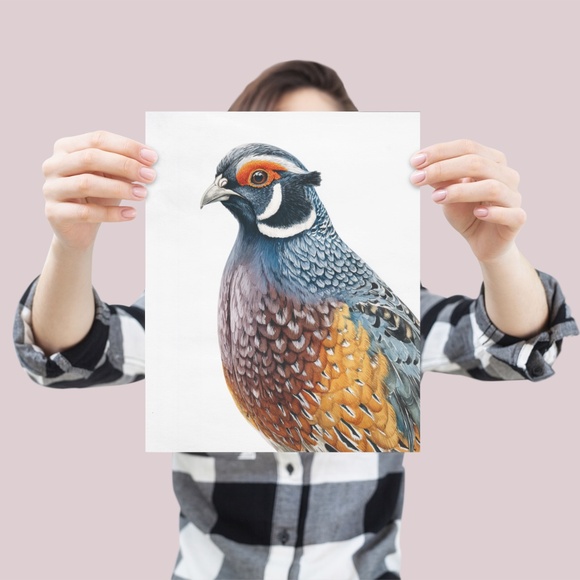 Watercolor Quail Wall Art Print, Unframed - Vibrant Nature-Inspired Home Decor - Picture 4 of 6